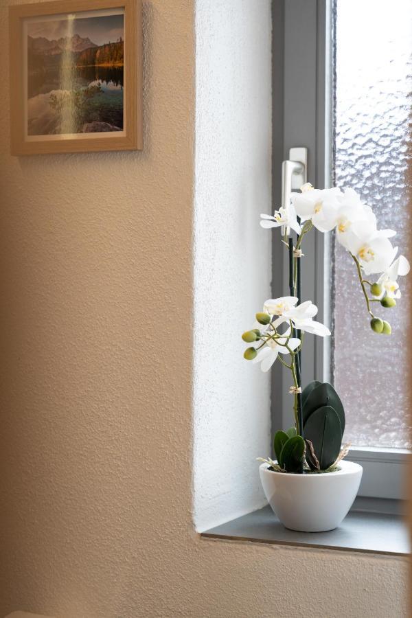 Ferienwohnung Wendelstein 克费尔斯菲尔登 外观 照片